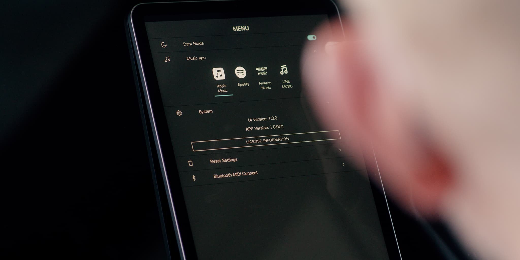 Picture of the author