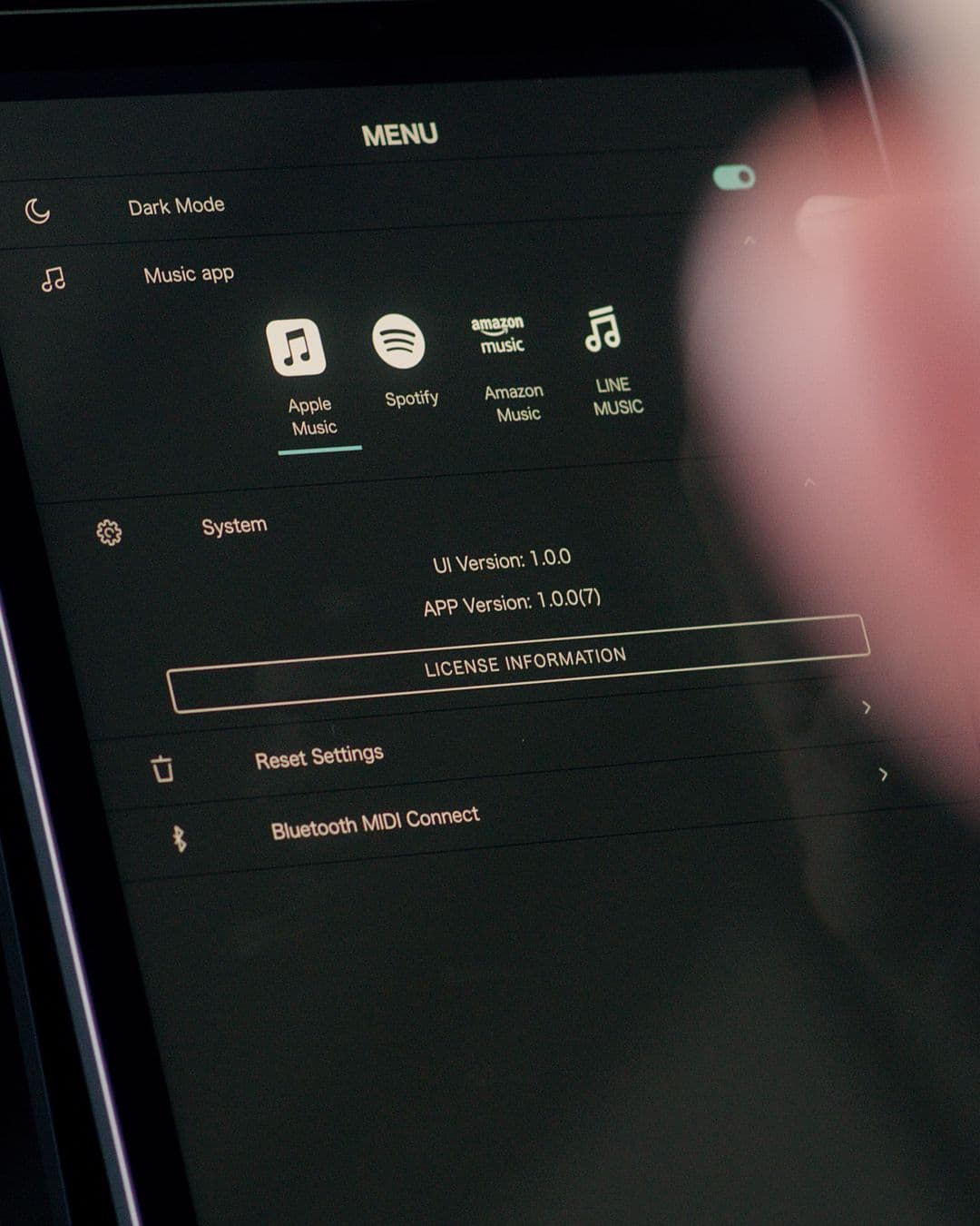 Picture of the author