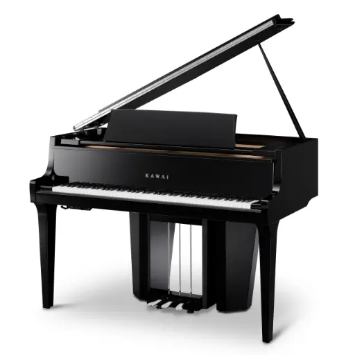 schwarzer Flügel NV12